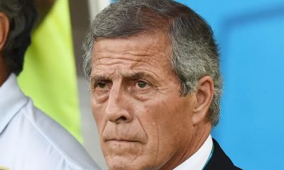 Tabarez